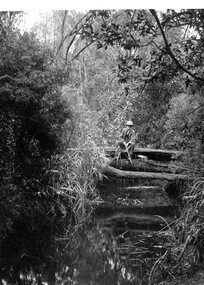 Photograph, Mr R.M. Telford in tranquil bush creek scene in Langwarrin 1902-1903