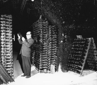 Photograph, Seppelts Cellars in Great Western