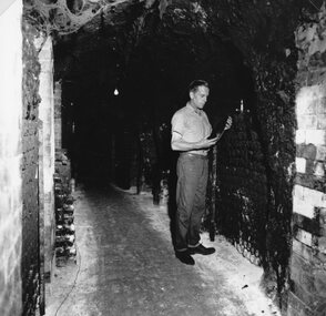 Photograph, Seppelts Cellars in Great Western