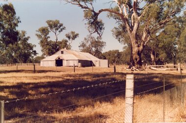 Photograph, "Woodlands" Homestead on Wimmera River near Crowlands -- Shearing Shed  -- Coloured