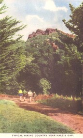 Postcard, Halls Gap Grampians -- Postcard -- Coloured