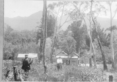 Photograph, Wehl Family Home in Halls Gap