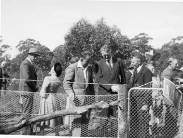 Photograph, Stawell Field Naturalists at the opening of Three Jacks Wildflower Sanctuary 1954 -- 3 Photos