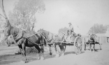 Photograph, Freeland’s Cartage Carriers with horse drawn Vehicles