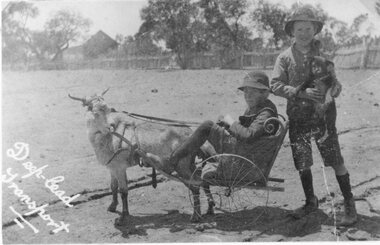 Photograph, Mr Charles Davidson in the Goat Cart at Deep Lead