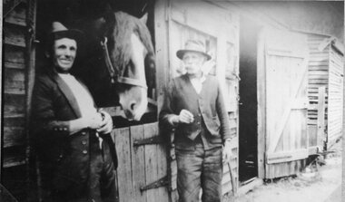 Photograph, Mr Robert Freeland at the left at their Stables in Deep Lead with  horses used in their contracting business