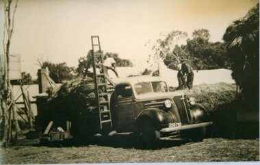 Photograph, Hay carting at Frank Bennett's Farm in Deep Lead