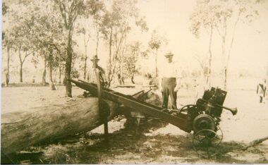 Photograph, Workmen gathering wood with a drag saw on the Mitchell farm at Deep Lead