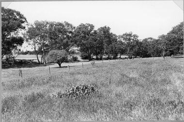 Photograph, Childe Home in Concongella showing where the house stood 1994