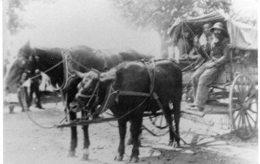 Photograph, Covered wagon pulled by a horse and a bullock -- poss. c1860's