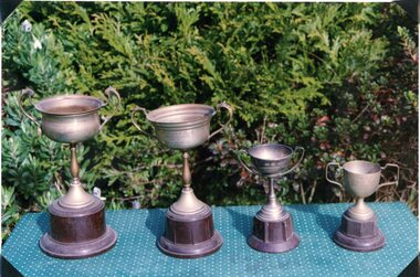 Photograph, Wattle Golf Club trophies won by Mrs G (Toss) Bradley 1935