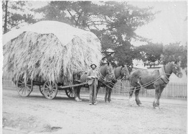 Photograph, Mr Harry Allard from Callawadda with a Load of Hay pulled by three horses