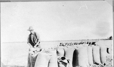 Photograph, At Harvest Time -- Sewing up Bags of wheat