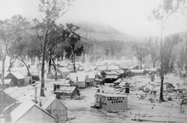 Photograph, Mafeking Goldfield at Mt William with Buildings and Grellet's Store c1900