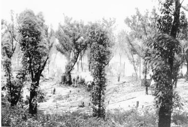 Photograph, Mafeking Goldfield at Mt William with Miners tents and buildings c1900