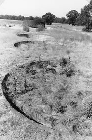 Photograph, Remains of the "Band of Hope" Cyanide Workings in Deep Lead in 1995 -- 4 Photos