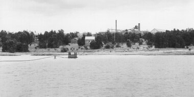 Photograph, Wonga Companies Plant and Dam 1899
