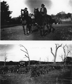 Photograph, Kanya Farm with Family Members & Buildings