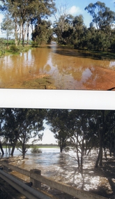 Photograph, Flooding of Sheep Wash Creek in Campbells Bridge 2011 -- Coloured