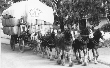 Photograph, Wool Wagon in Stawell