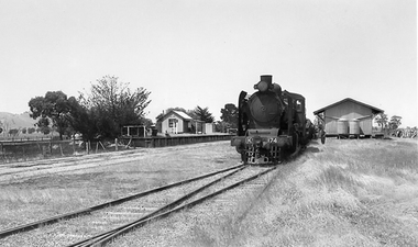 Photograph, T Murray, Navarre Railway Station with steam train and shed 1953, 16/12/1953