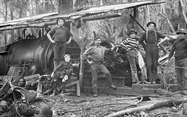 Photograph, Sawmill