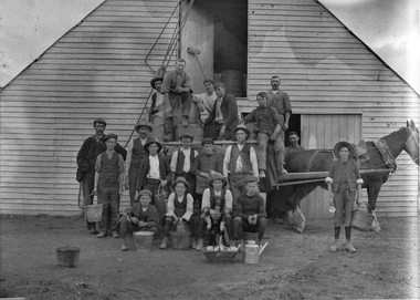 Photograph, Henry Bests Vineyard, early 1900's