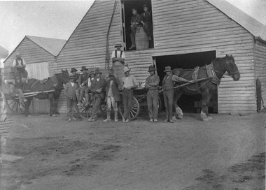 Photograph, Henry Bests Vineyard, early 1900's