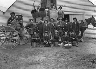 Photograph, Henry Bests Vineyard, early 1900's