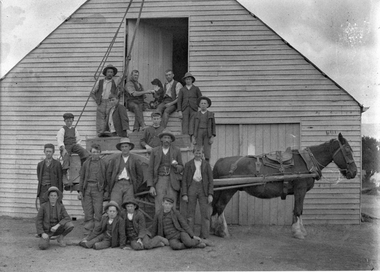 Photograph, Henry Bests Vineyard, early 1900's