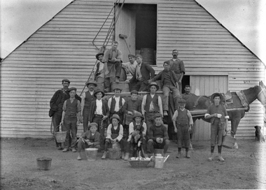 Photograph, Henry Bests Vineyard, early 1900's