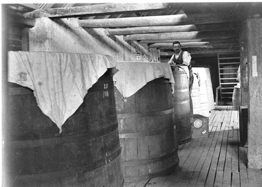 Photograph, Henry Bests Vineyard, early 1900's
