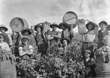 Photograph, Bests Vineyard Great Western, early 1900's