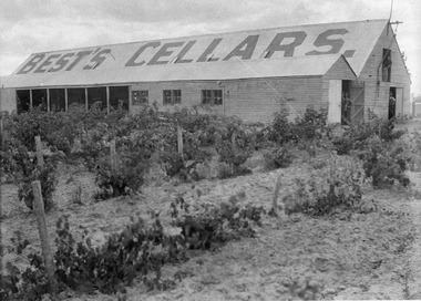 Photograph, Bests Vineyard Great Western, early 1900's