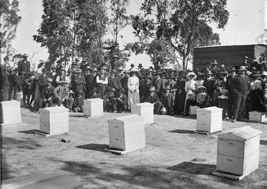 Photograph, Beekeepers field day Great Western, early 1900's