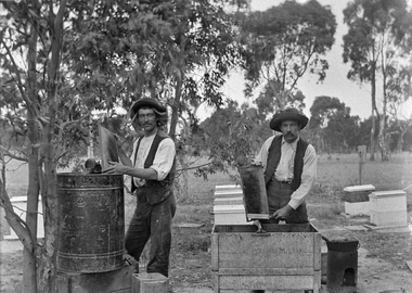 Photograph, Best's Apiary Great Western, early 1900's