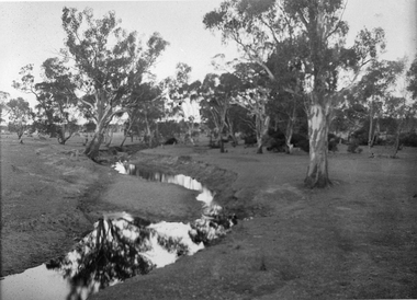 Photograph, Concongella Creek Great Western, early 1900's