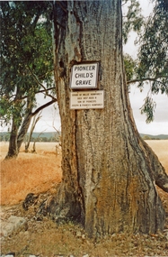 Photograph, Pioneer Childs Grave, 2020
