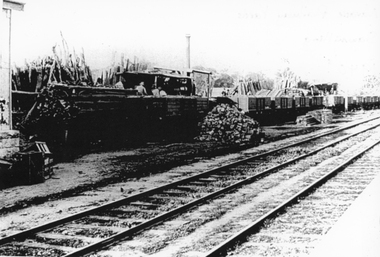 Photograph, Navarre Rail Yards Sawmilling