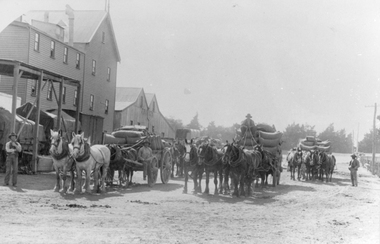 Photograph, Stawell Flour Mill c1890's