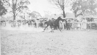 Photograph, Great Western Races  1920's
