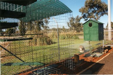 Photograph, Catnip Modular Pet Park Stawell.  This is all mine