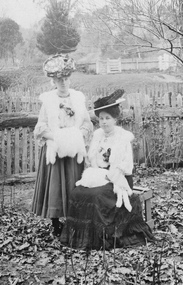 Photograph, Unknown Chapman Relatives - 21 Photos