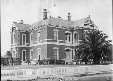 Photograph - Oban Stawell RSL, Stawell RSL  with Palm Tree