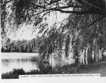 Photograph, Murray Views, "Willow Walk" at the Lake in Cato Park Stawell c1950 -- Postcard, C 1950