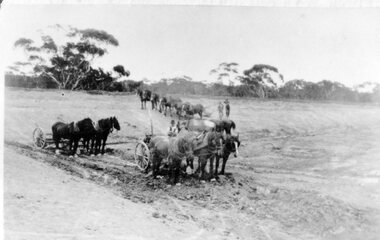 Photograph, Horse teams  (alex Rae) digging Dam c1900, 1900 - 1940