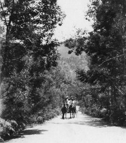 Photograph, Out in the Country