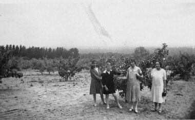 Photograph, Women in front of tree