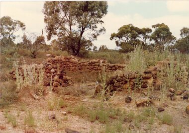 Photograph, Remains of stonework walls of a Chinaman's house at Deep Lead