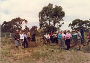 Photograph, Remains of stonework walls of a house at Deep Lead